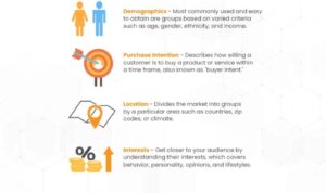 Understanding Audience Demographics