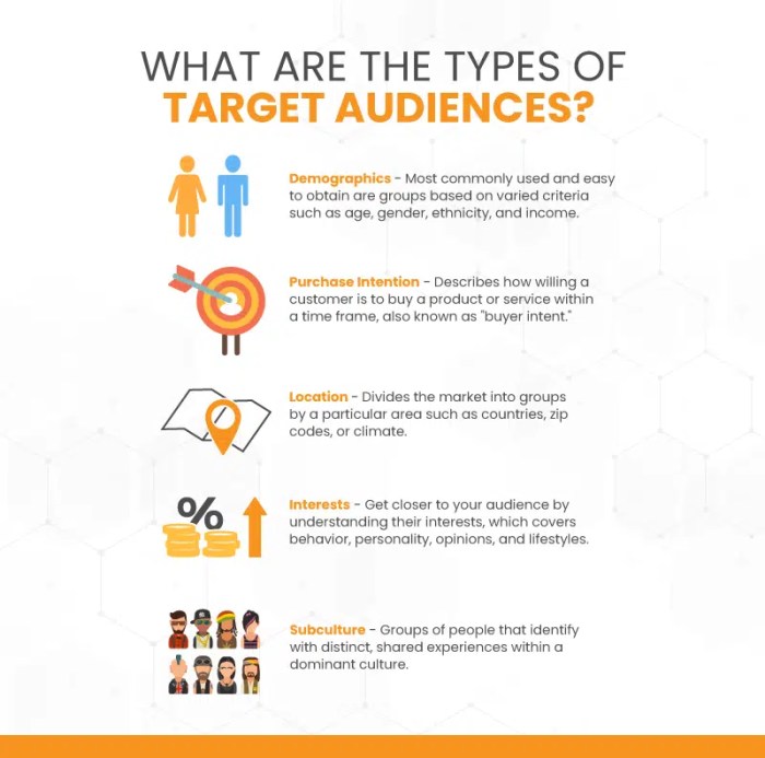 Understanding Audience Demographics