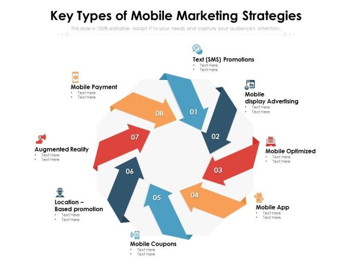 Developing a Mobile Marketing Strategy